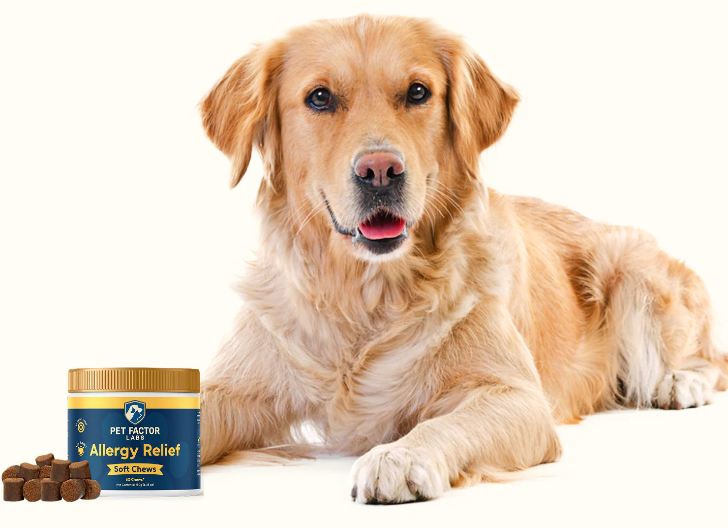 Allergy Support Chews