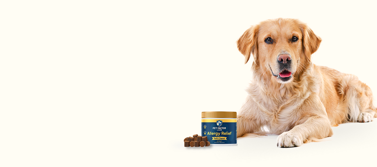 Pet Factor Labs